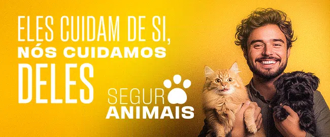 Novo Seguro de Animais: Eles cuidam de si e nós cuidamos deles!