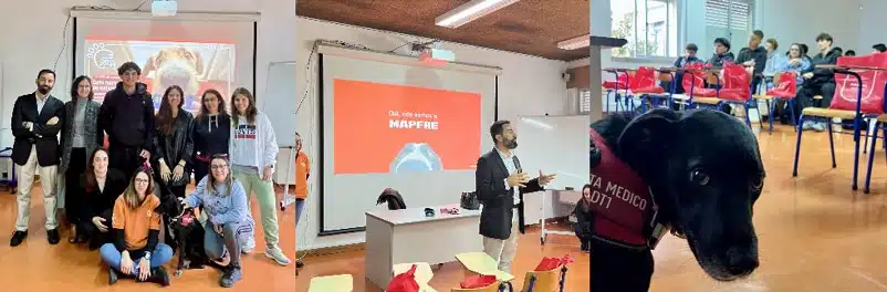 Dia Mundial da Diabetes: Um cão, uma missão