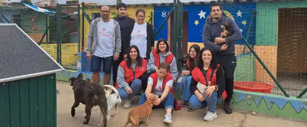 Voluntários MAPFRE: Regressamos onde fomos felizes