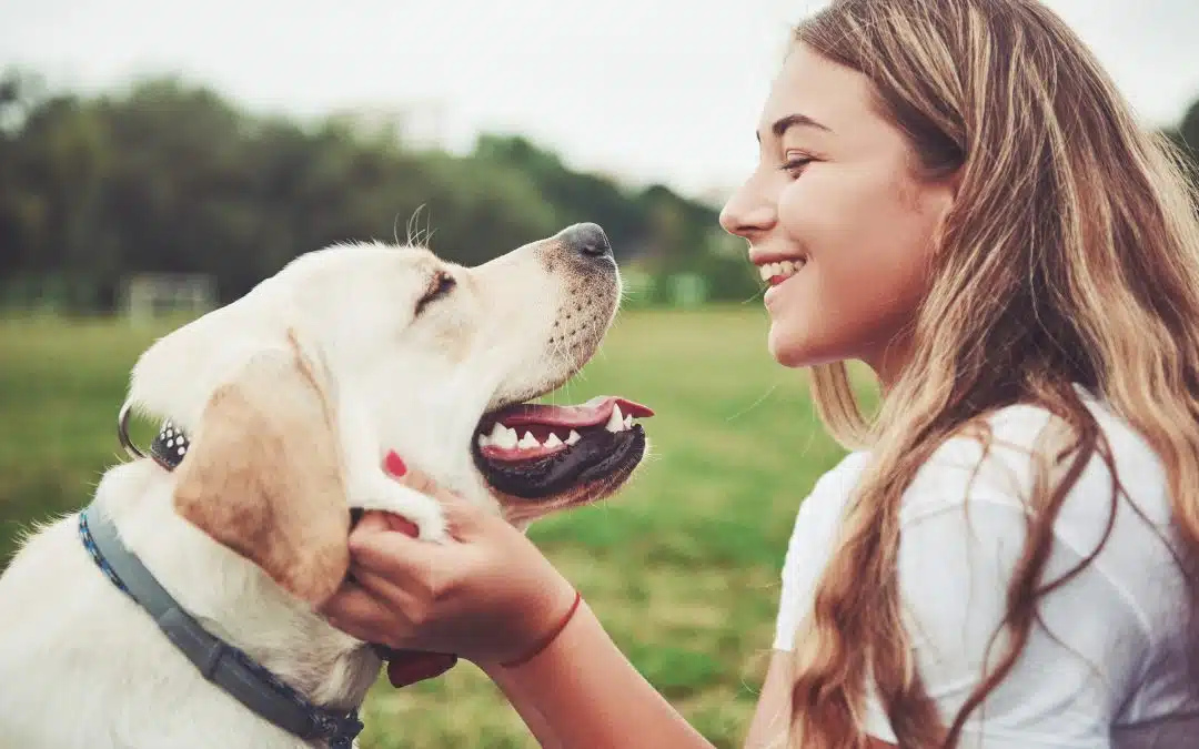 Iniciativa Solidária com Cães e Jovens