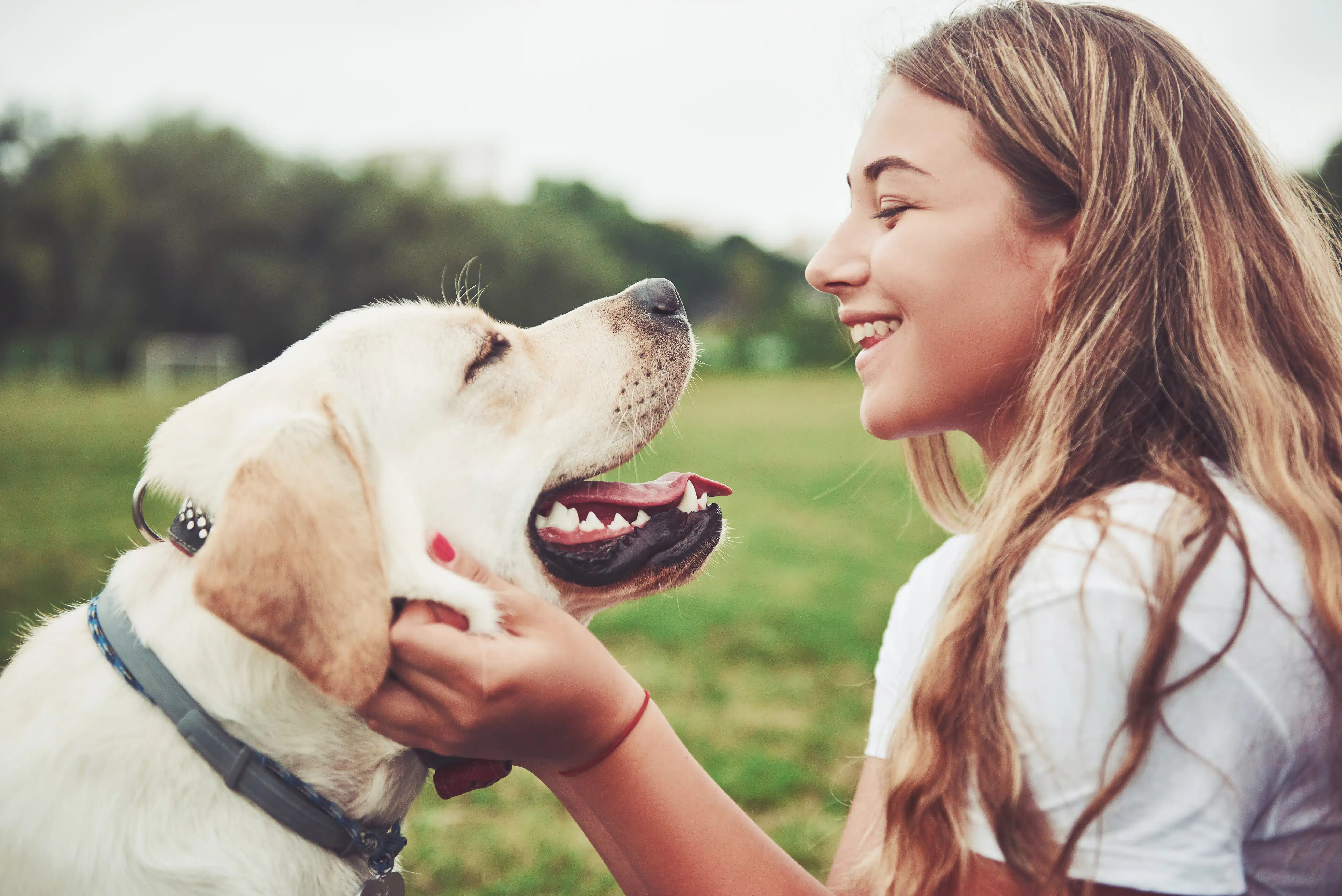 Iniciativa solidária MAPFRE com cães, jovens e voluntários