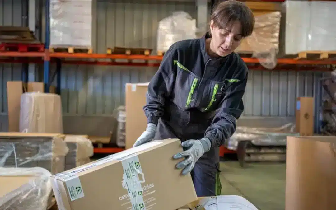 Economia circular: MAPFRE recicla 4.816 toneladas de resíduos