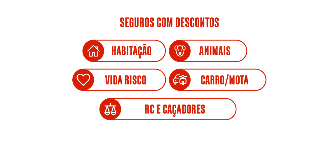 Icones seguros miniatura_1