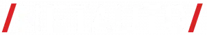 net-auto-logo