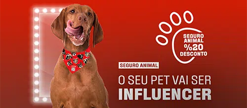 NAD destaque noticia selo-merco-empresas-líderes