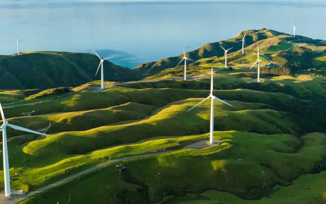 Somos uma das 5 seguradoras mais sustentáveis do mundo