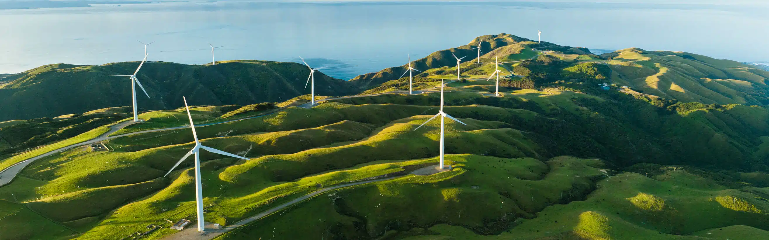 Somos uma das 5 seguradoras mais sustentáveis do mundo