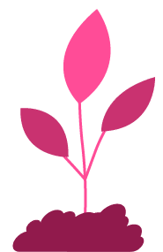 Ilustração de Planta Rosa a crescer - representação do seguro de vida Mapfre