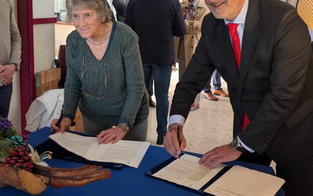 Reconstruir após a tempestade: Fundación Mapfre doa 50.000€