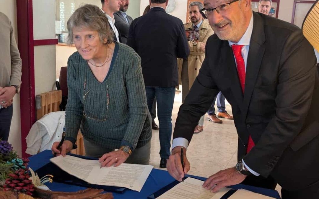 Reconstruir após a tempestade: Fundación Mapfre doa 50.000€