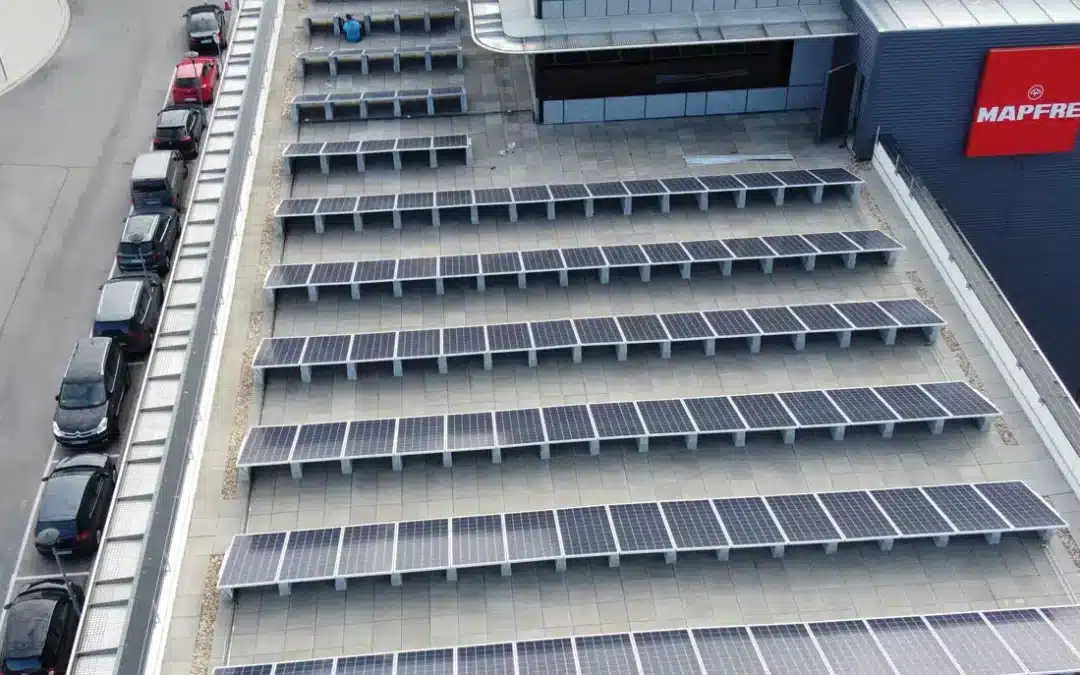 Pegada de Carbono 2025: MAPFRE reforça compromisso climático