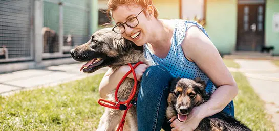 Contratámos um Pet Sitter para as nossas mascotes