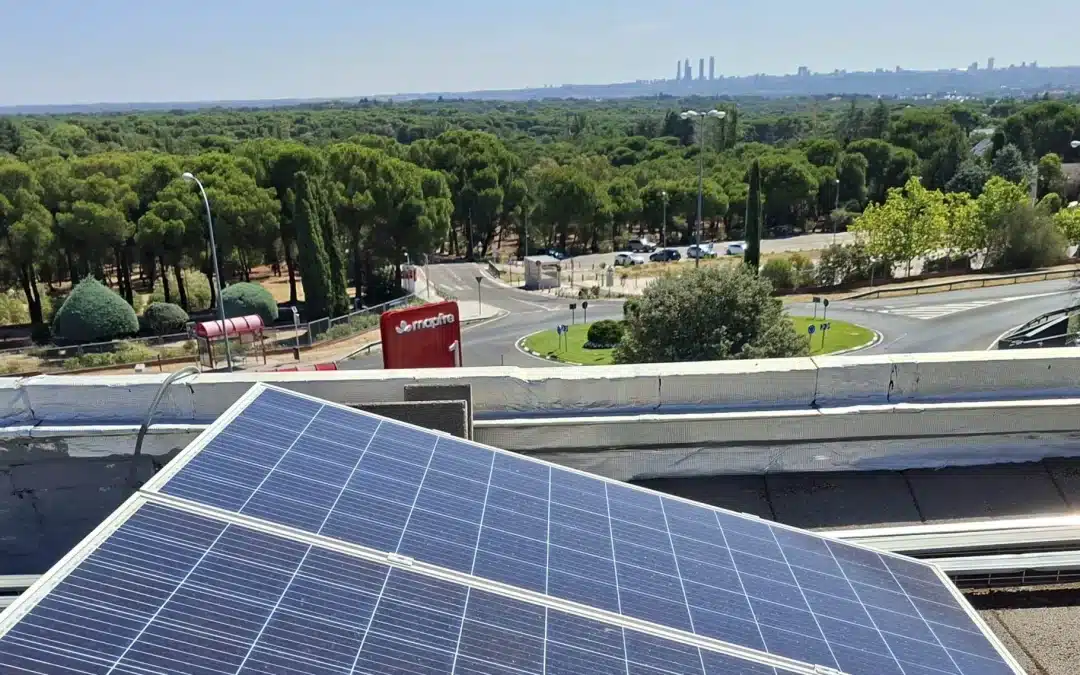 Vamos neutralizar 90% da nossa pegada de carbono em 2026