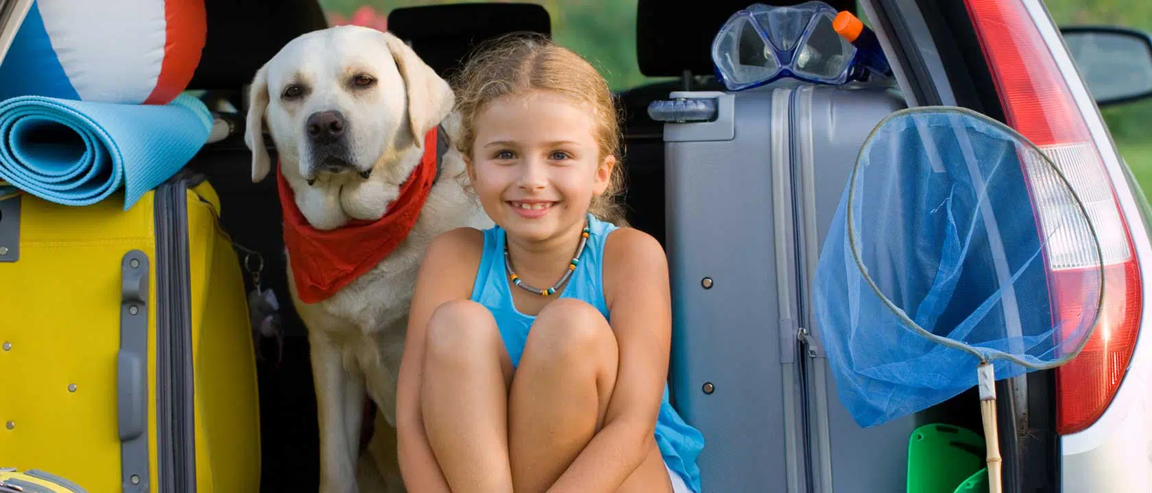 particulares animais domesticos dar animais receber dobrar