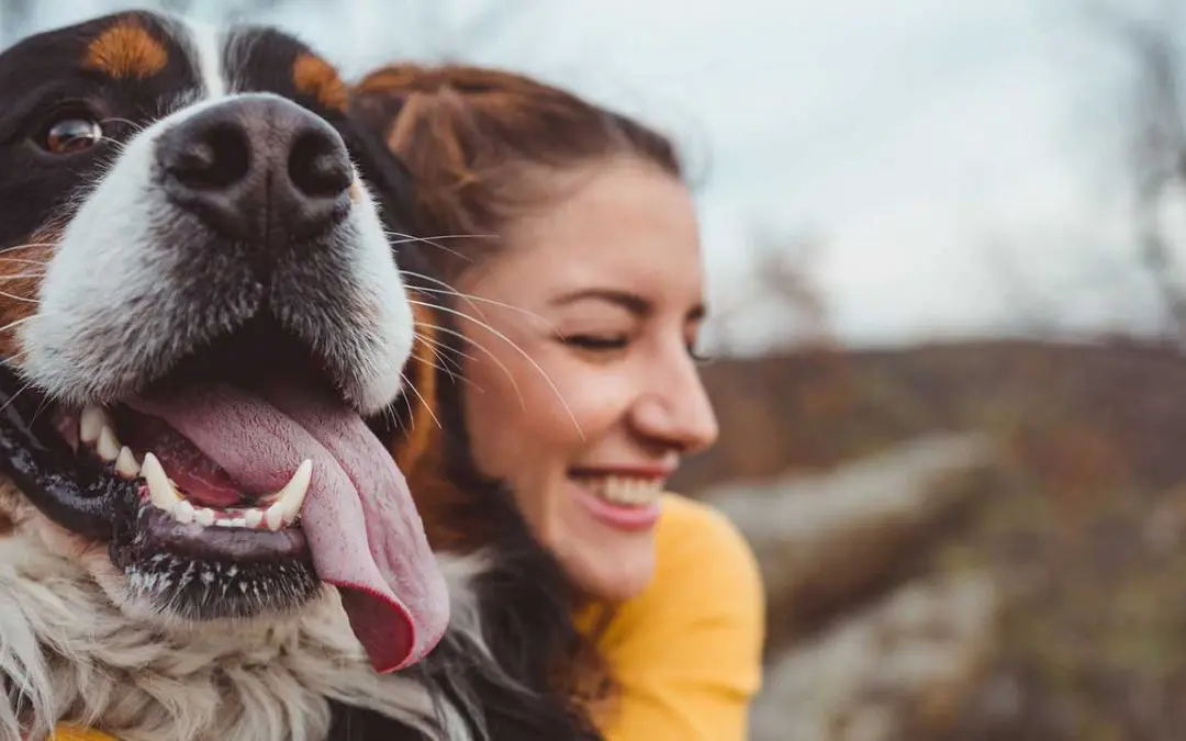 Como manter o meu animal de estimação feliz?