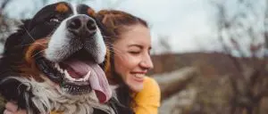 seguros particulares animais domesticos animais