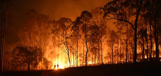 Proteja-se a si e à sua casa em caso de Incêndio Florestal