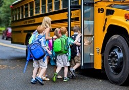 transporte escolar e o cinto de segurança